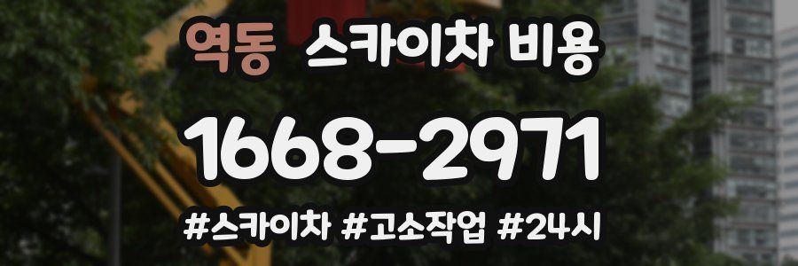 역동 스카이차 비용