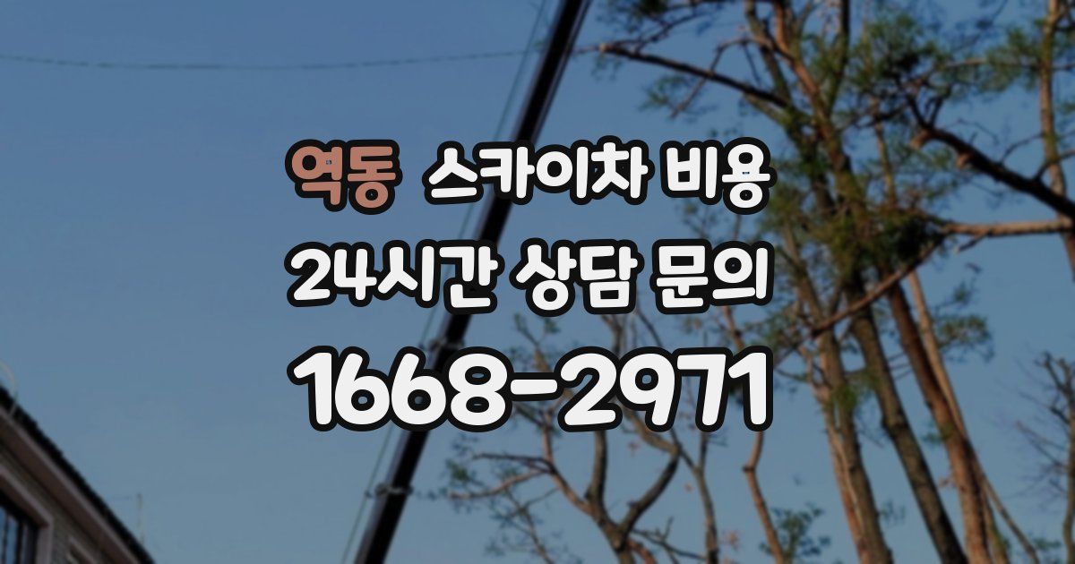 역동 스카이차 비용