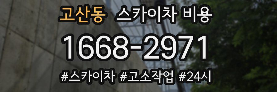 고산동 스카이차 비용