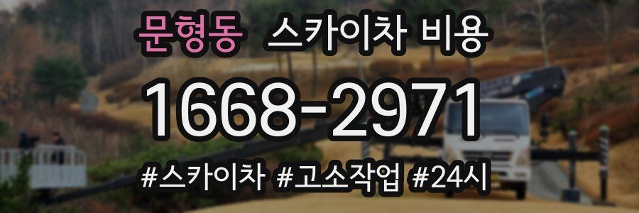 문형동 스카이차 비용