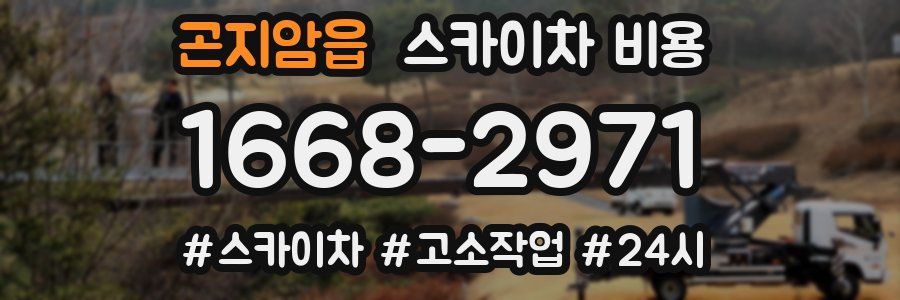 곤지암읍 스카이차 비용