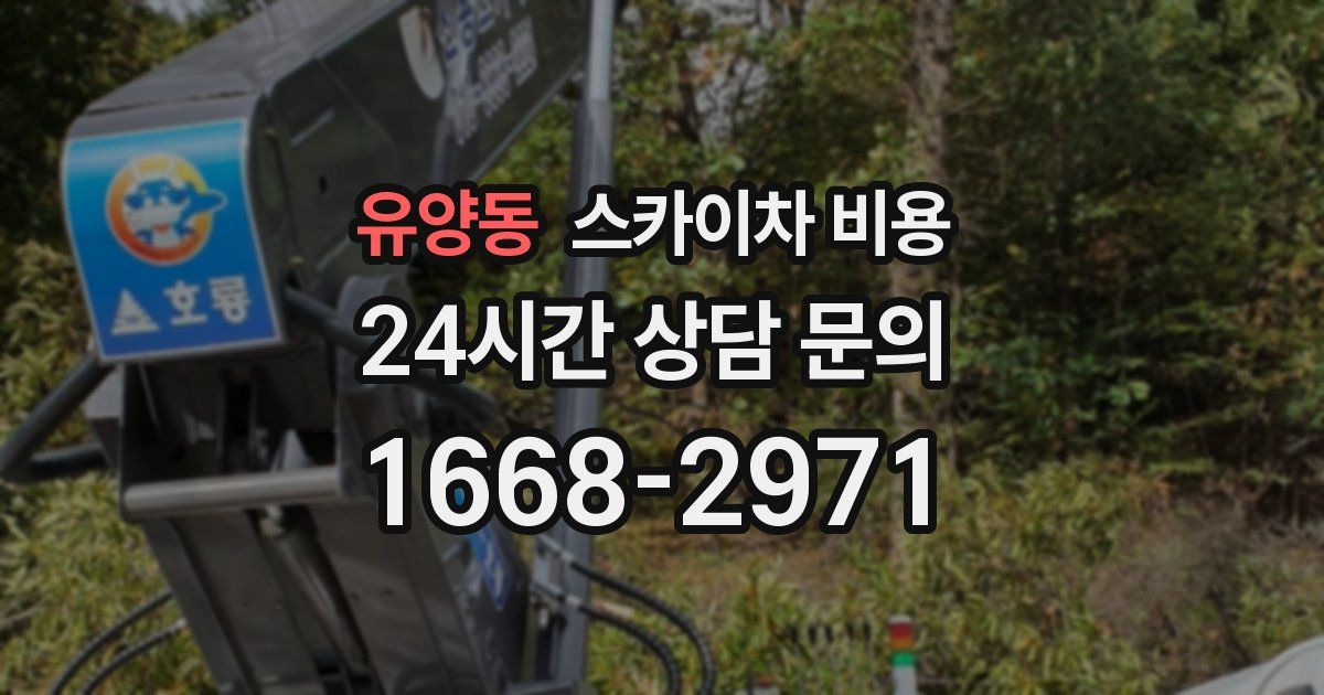 유양동 스카이차 비용