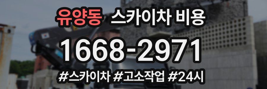유양동 스카이차 비용