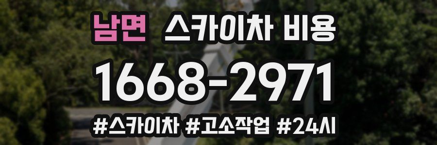 남면 스카이차 비용