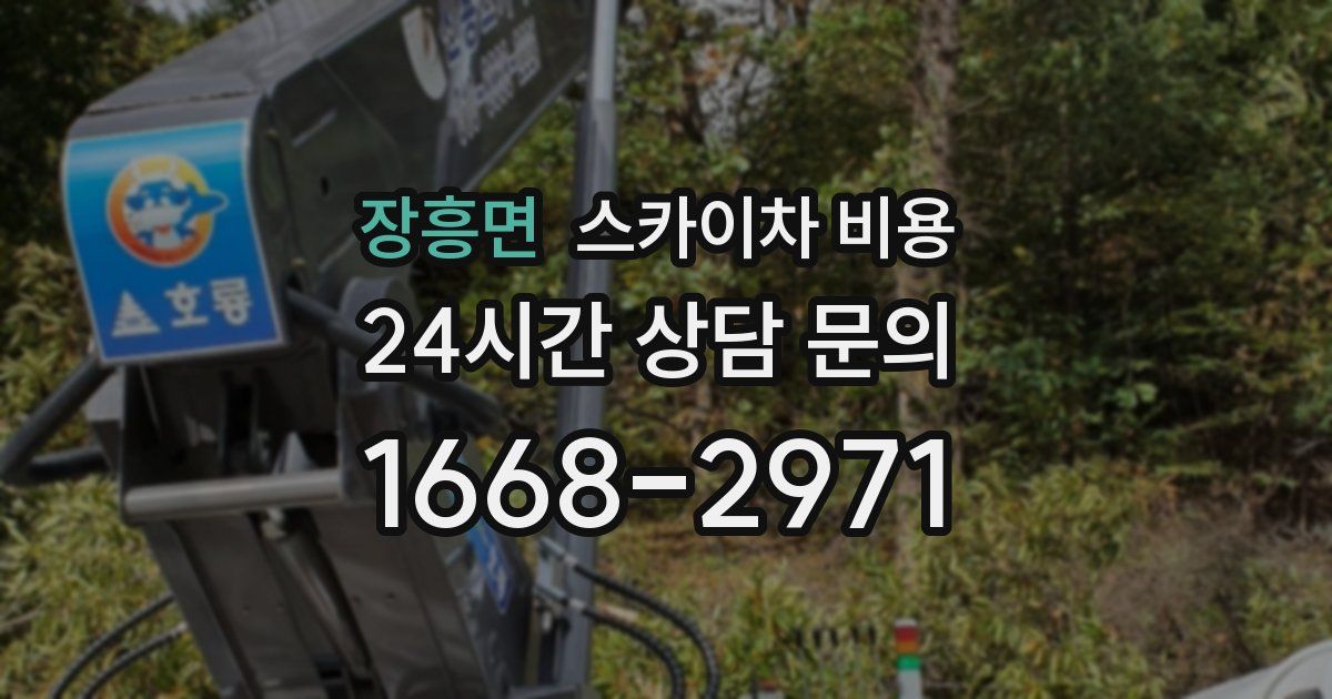 장흥면 스카이차 비용