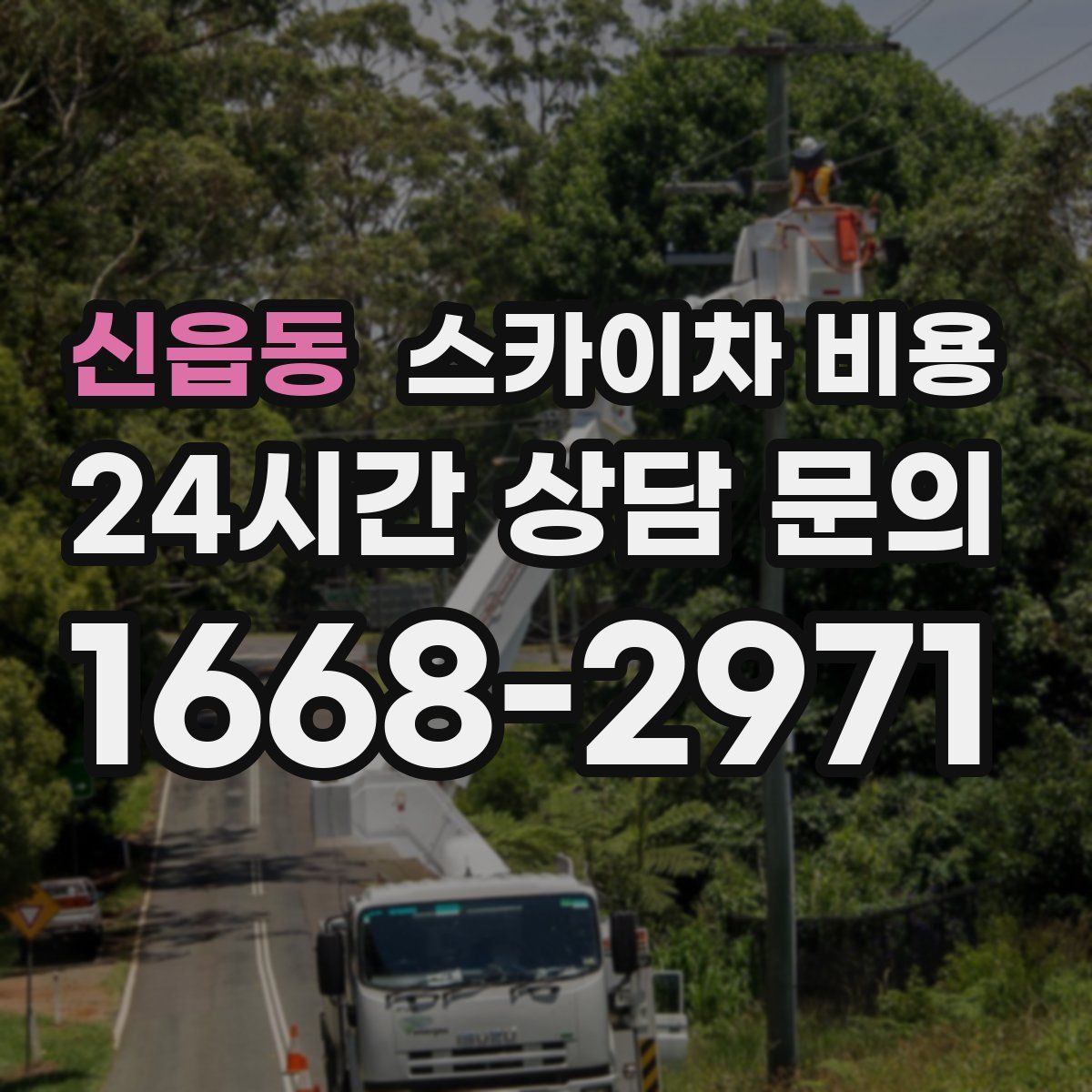 신읍동 스카이차 비용