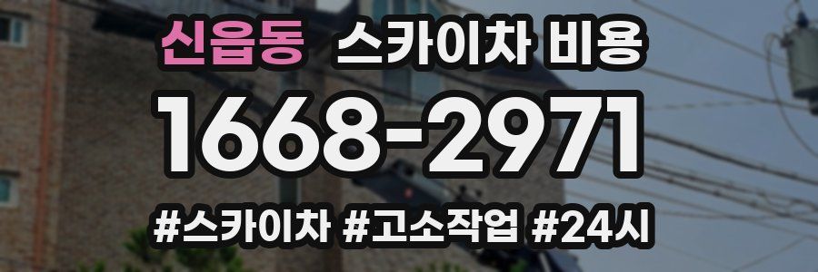 신읍동 스카이차 비용