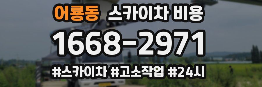 어룡동 스카이차 비용