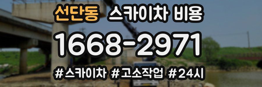 선단동 스카이차 비용