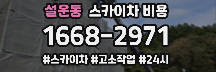 설운동 스카이차 비용