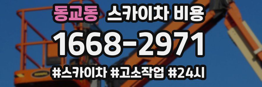 동교동 스카이차 비용