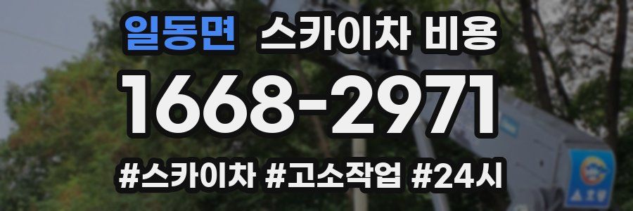 일동면 스카이차 비용