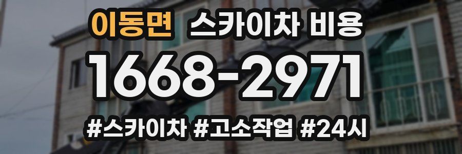 이동면 스카이차 비용