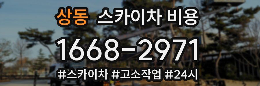 상동 스카이차 비용