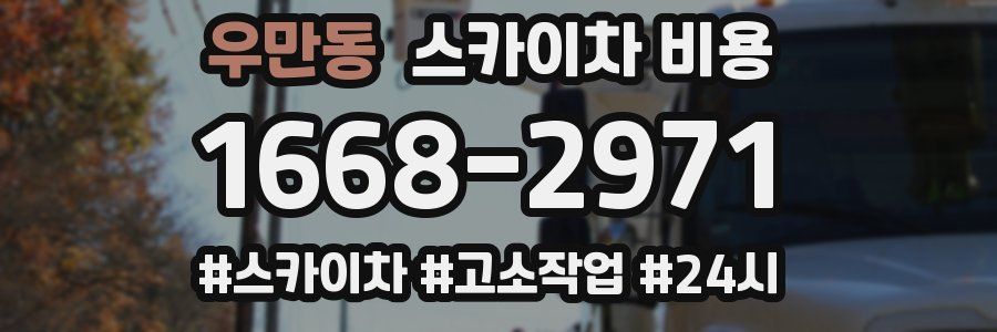 우만동 스카이차 비용