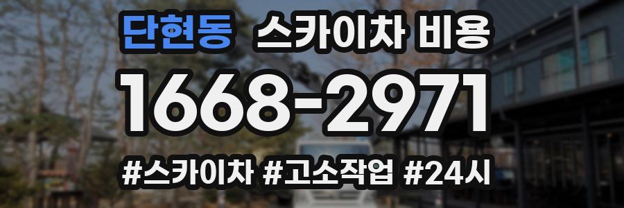 단현동 스카이차 비용