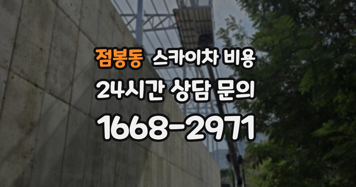 점봉동 스카이차 비용