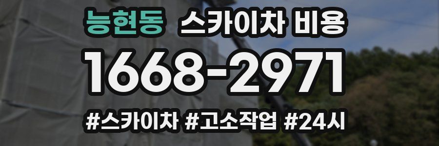 능현동 스카이차 비용