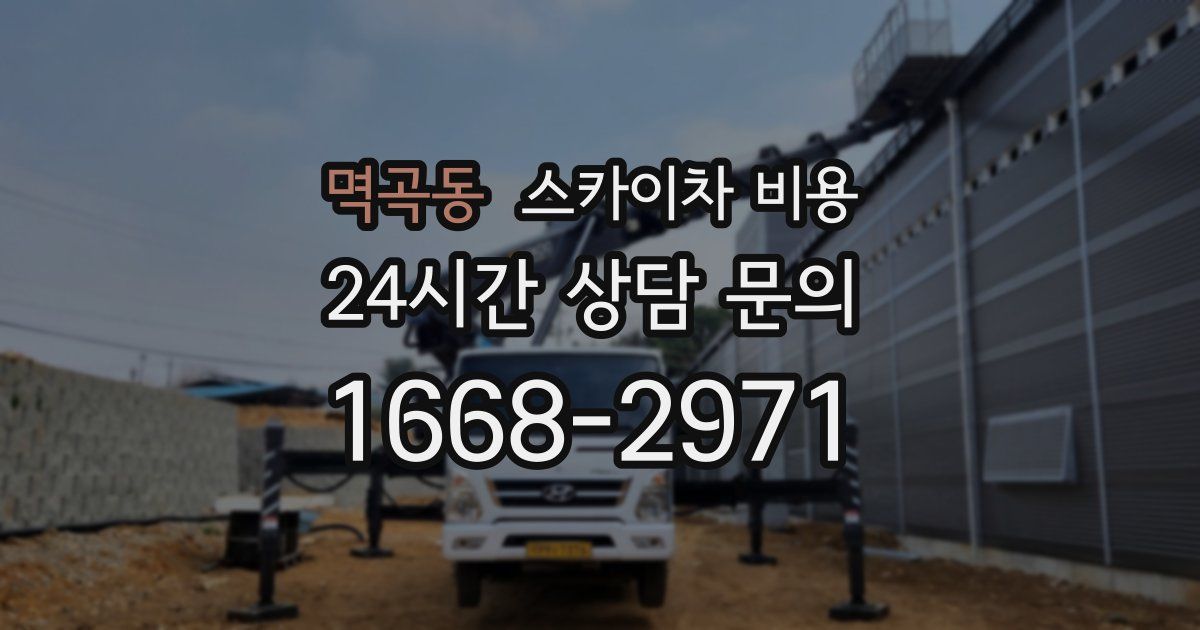 멱곡동 스카이차 비용