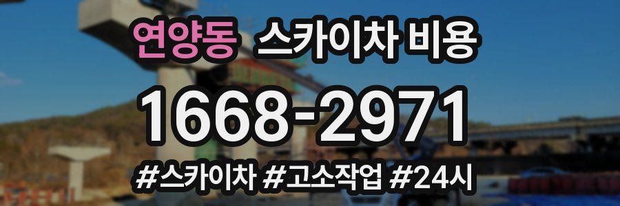 연양동 스카이차 비용