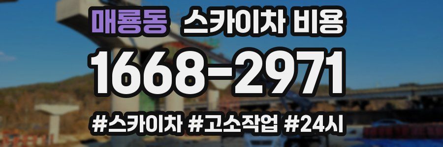 매룡동 스카이차 비용