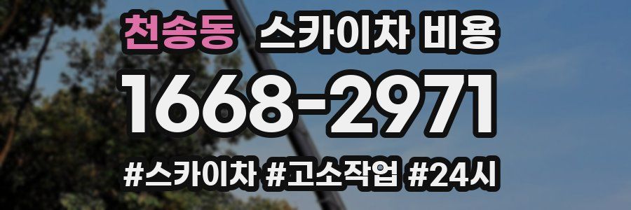 천송동 스카이차 비용