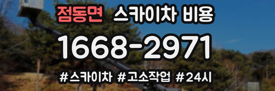 점동면 스카이차 비용