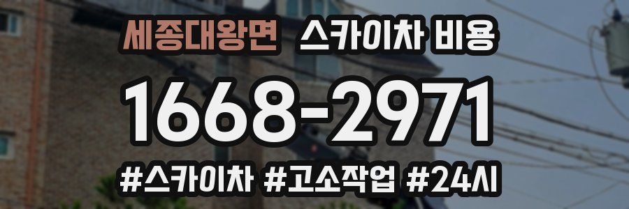 세종대왕면 스카이차 비용