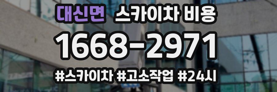 대신면 스카이차 비용