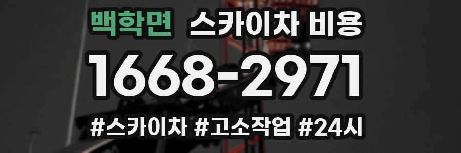 백학면 스카이차 비용