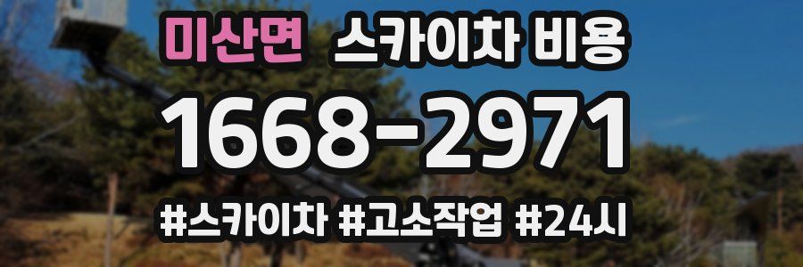 미산면 스카이차 비용