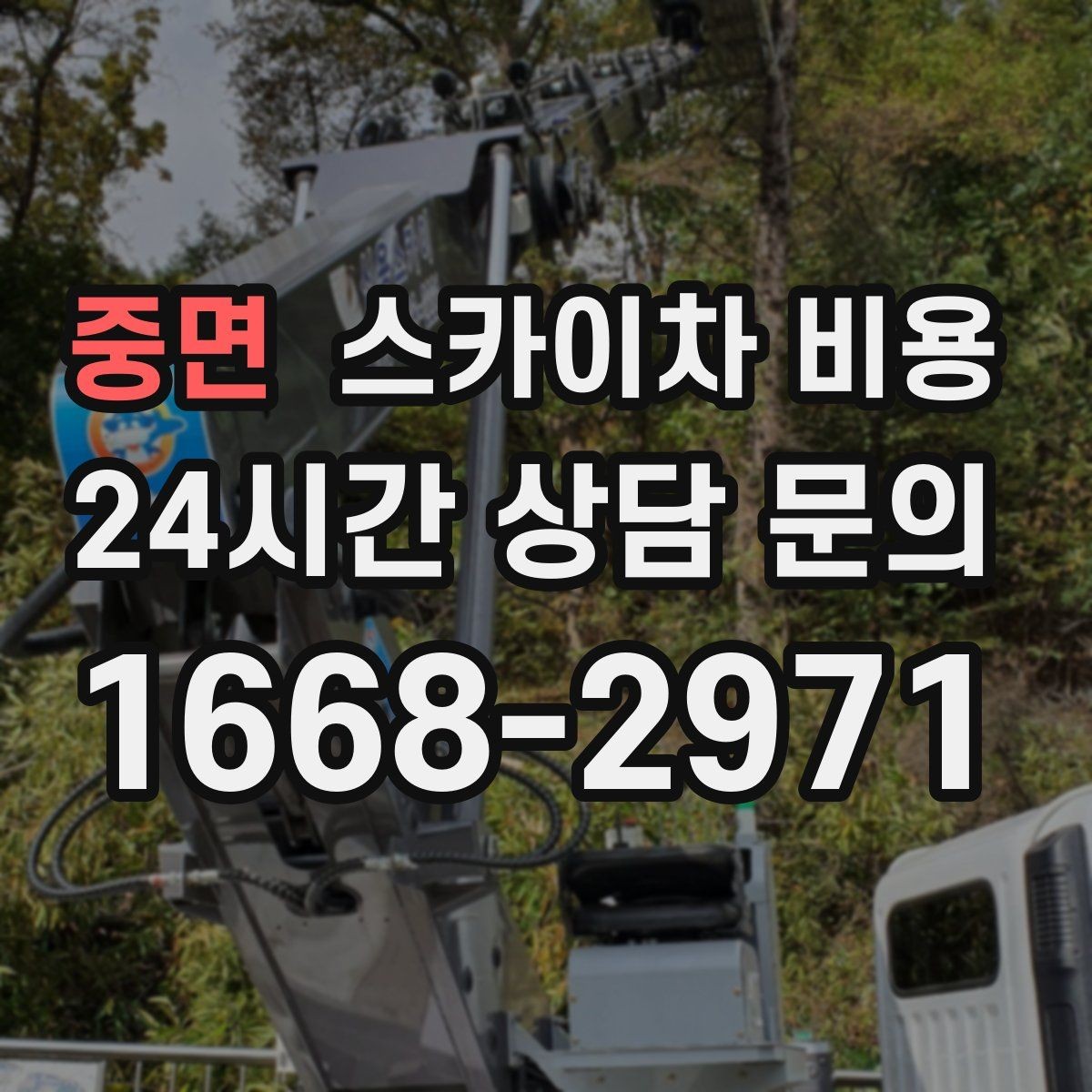 중면 스카이차 비용 작업 높이(층수/실측 높이)와 작업 시간대(주간/야간/심야)에 따라 달