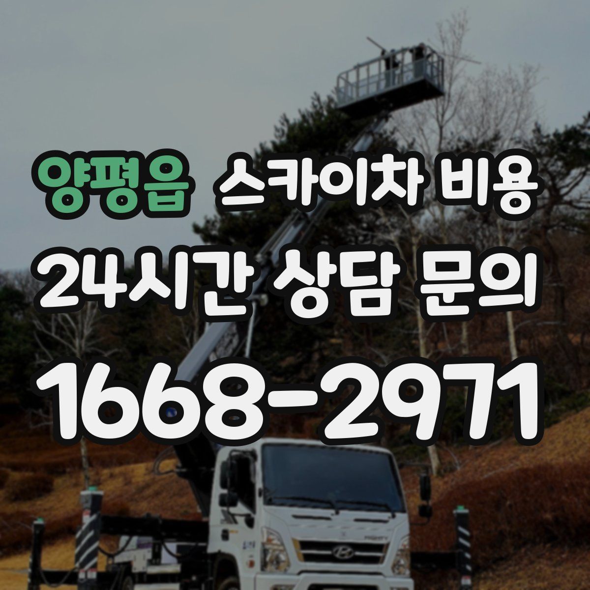 양평읍 스카이차 비용