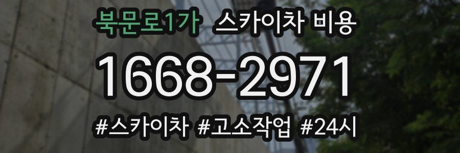 북문로1가 스카이차 비용