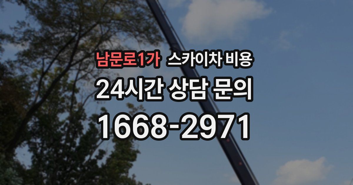 남문로1가 스카이차 비용