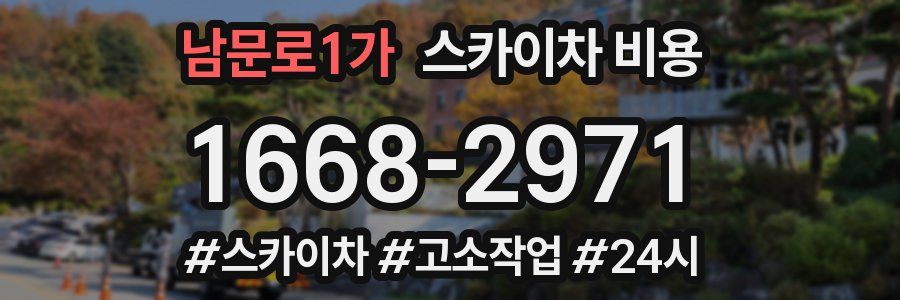 남문로1가 스카이차 비용