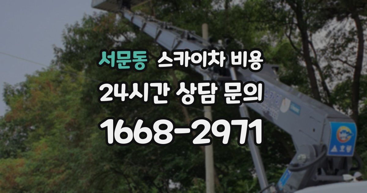 서문동 스카이차 비용