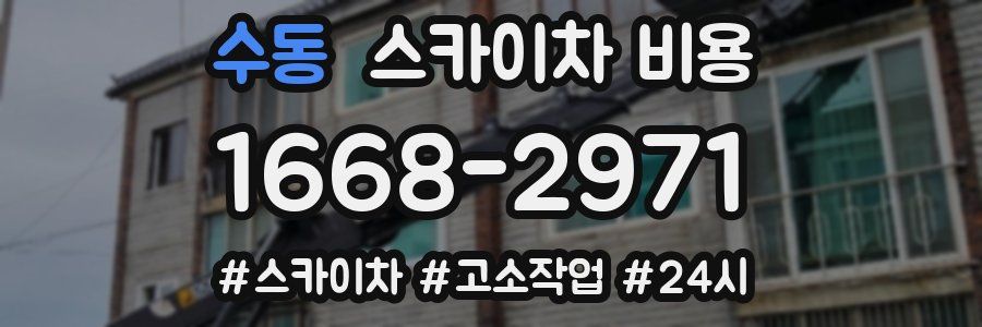 수동 스카이차 비용