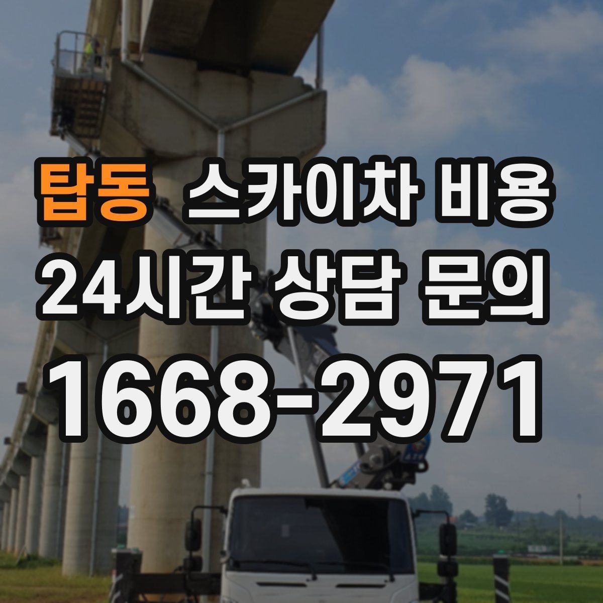 탑동 스카이차 비용 크리스마스 조명 설치는 무엇이 변수가 될까