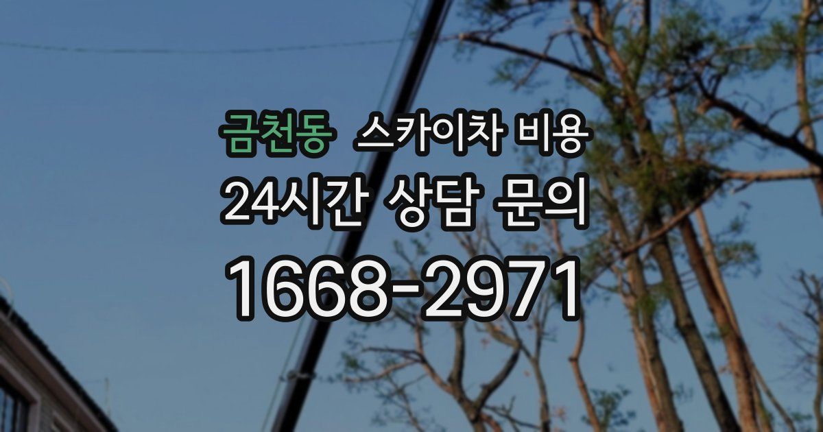 금천동 스카이차 비용