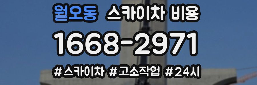 월오동 스카이차 비용