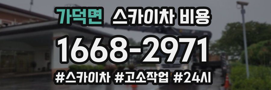 가덕면 스카이차 비용