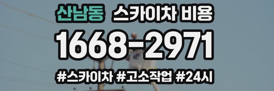 산남동 스카이차 비용