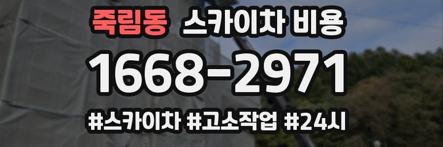 죽림동 스카이차 비용