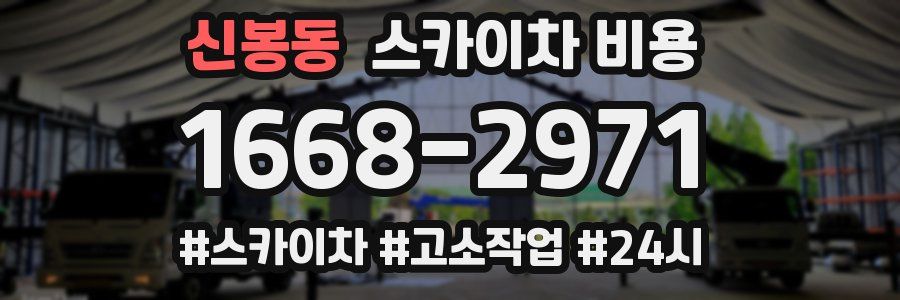 신봉동 스카이차 비용