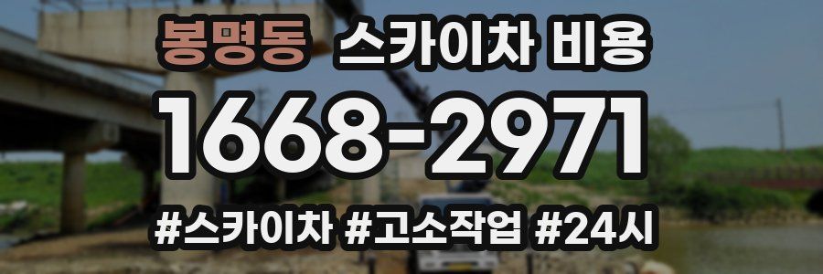 봉명동 스카이차 비용