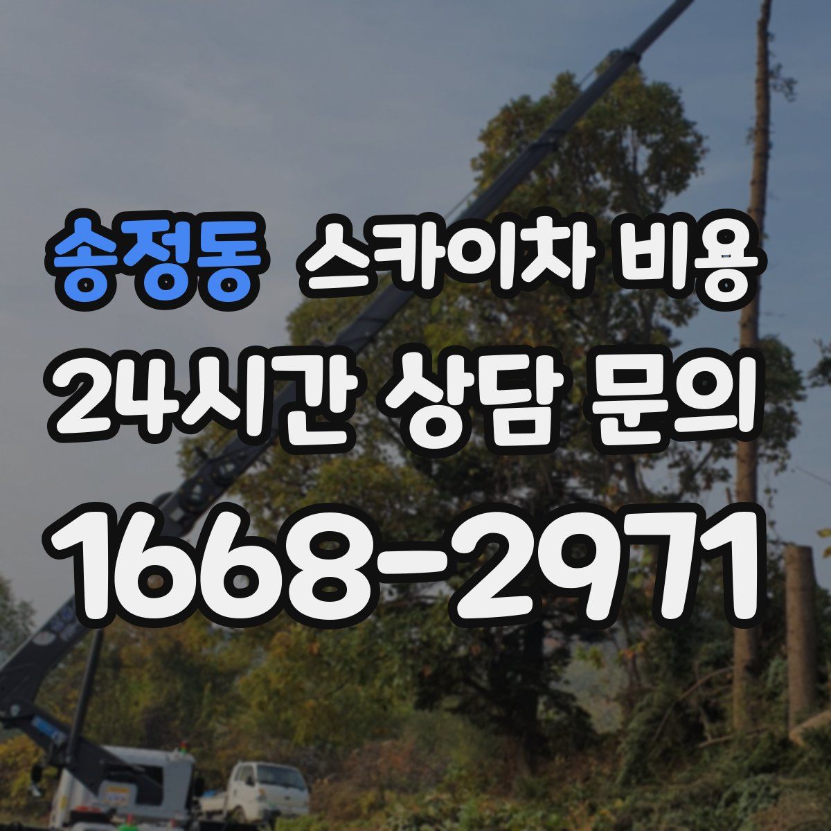 송정동 스카이차 비용