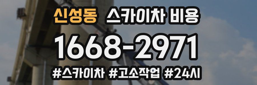 신성동 스카이차 비용