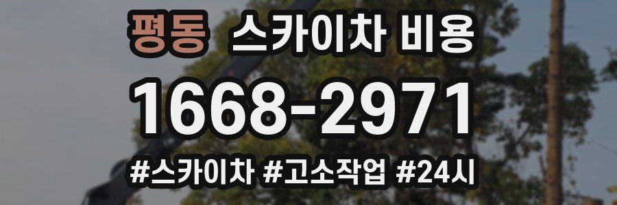 평동 스카이차 비용