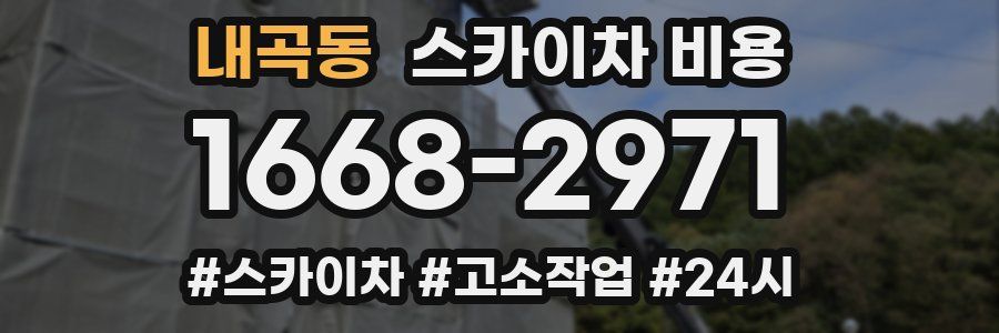 내곡동 스카이차 비용